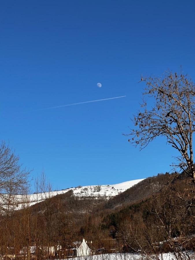 Belle Maison De Ville Au Coeur Du Village De Montagne Vic-sur-Cère Exteriér fotografie