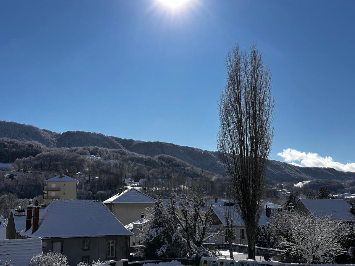 Belle Maison De Ville Au Coeur Du Village De Montagne Vic-sur-Cère Exteriér fotografie